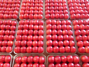 さくらんぼの通販なら山形の農家さんからお取り寄せがおすすめ!購入先の選び方なども紹介