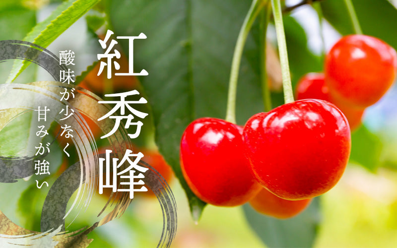 アンジェリーナ◎さくらんぼ 紅秀峰 クール 楽天市場】☆クール便出荷☆ 即日発送実施中！ 山形県産