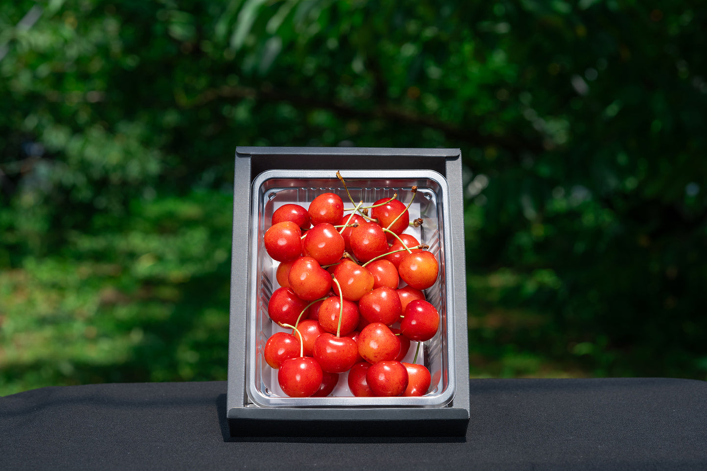 さくらんぼ 紅秀峰 秀品 2Lサイズ以上 300g B-04