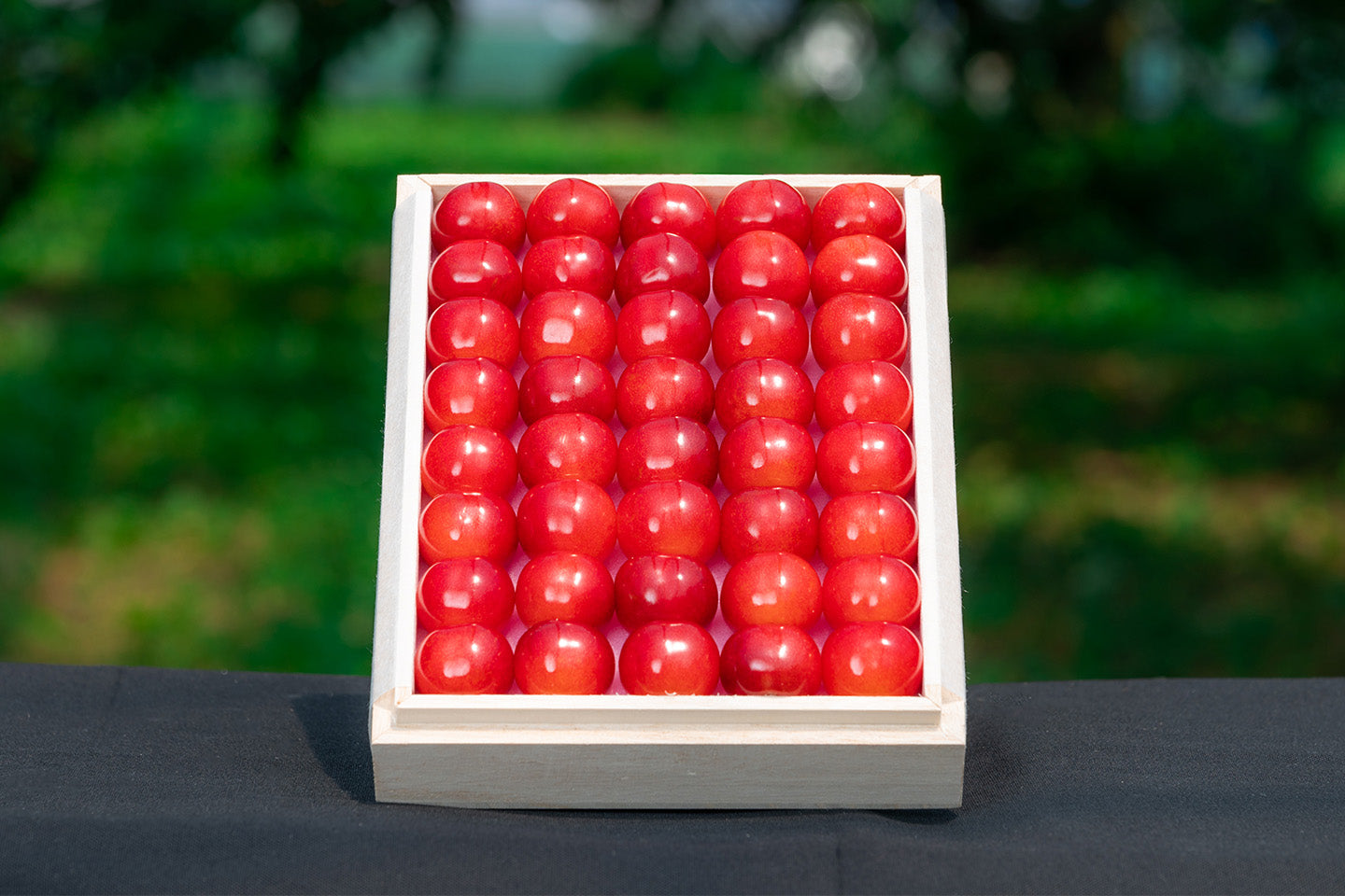 山形セレクション認定品 さくらんぼ 佐藤錦 特秀品 桐箱 並詰 2Lサイズ 300g S-09【全国送料無料】