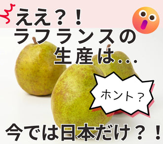 ラフランスの生産は日本だけ？海外で絶滅し日本で成功した理由を解説
