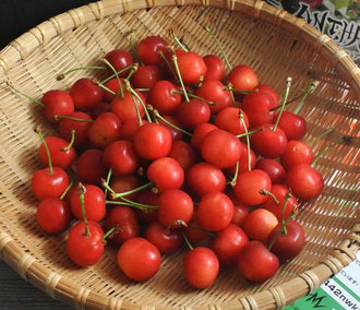 さくらんぼの栄養成分や効果は？栄養を逃がさない食べ方も紹介
