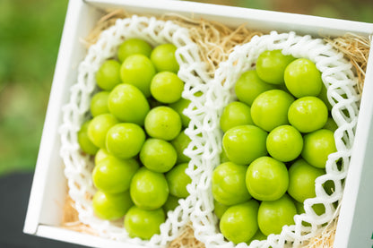 シャインマスカット 2房入 約1kg以上 SHA-02  贈答用 【全国送料無料】