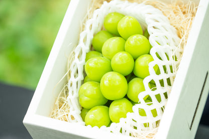 シャインマスカット　1房入　約600g以上　SHA-01　贈答用 【全国送料無料】