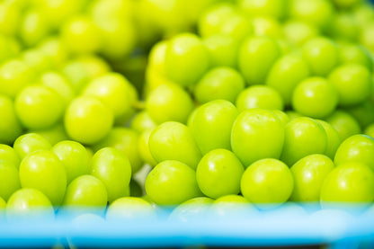 シャインマスカット　1～3房入　約1kg以上　SHAW-01  訳あり用 【全国送料無料】