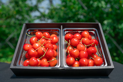 さくらんぼ 紅秀峰 秀品 2Lサイズ以上 600g B-02【全国送料無料】