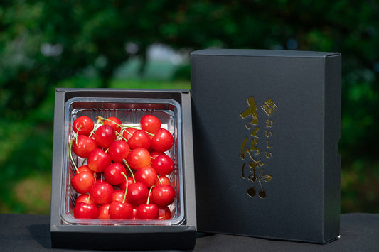 山形セレクション認定品 さくらんぼ 佐藤錦 特秀品 Lサイズ以上 300g S-03【全国送料無料】