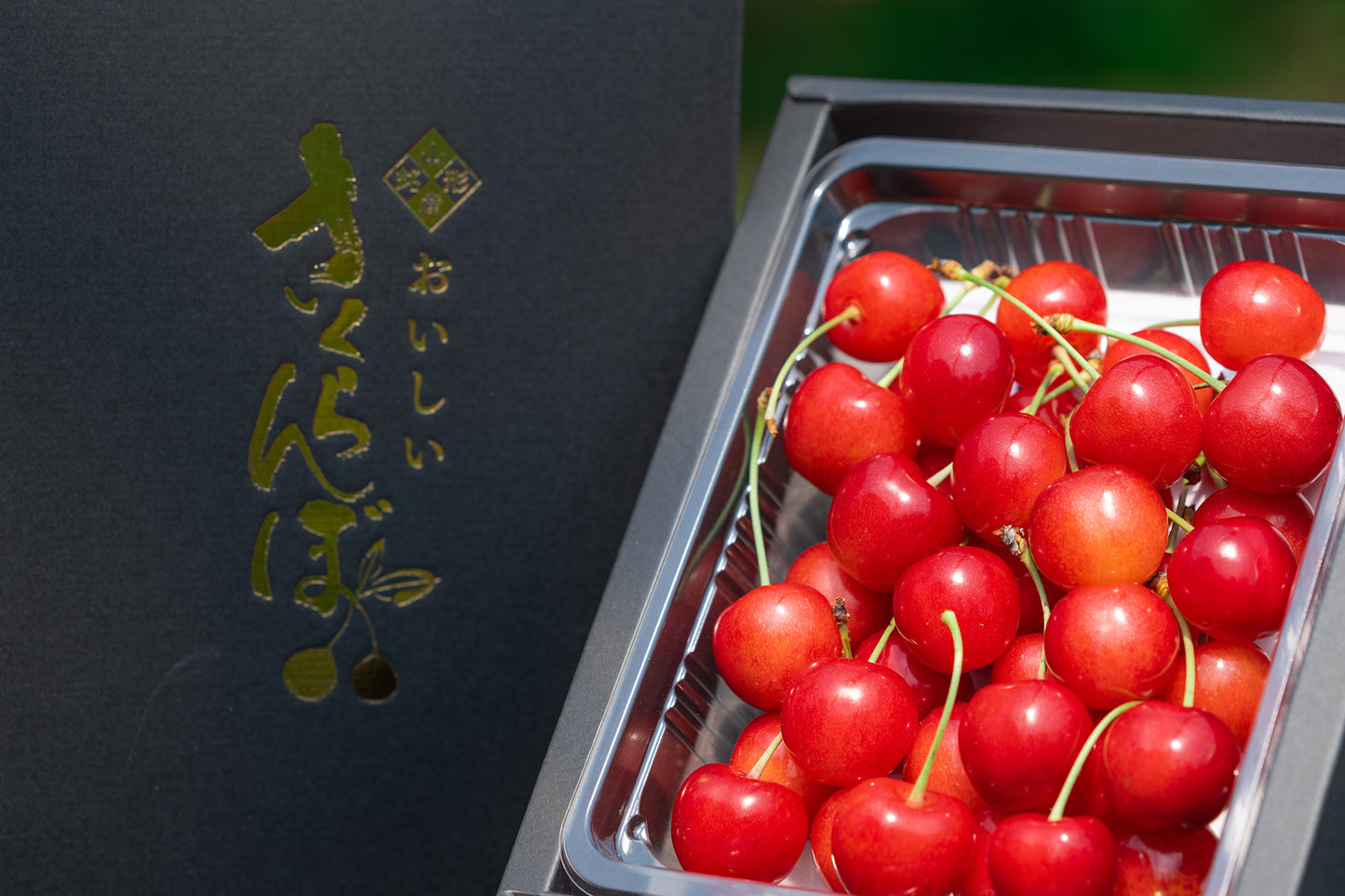 山形セレクション認定品 さくらんぼ 佐藤錦 特秀品 Lサイズ以上 300g S-03【全国送料無料】