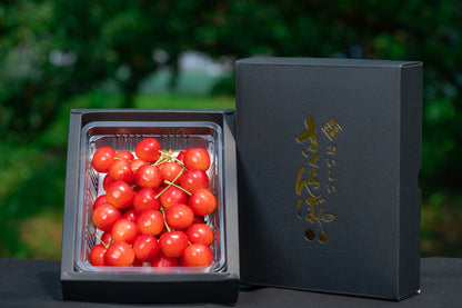 さくらんぼ 佐藤錦 秀品 Lサイズ以上 300g S-04【全国送料無料】
