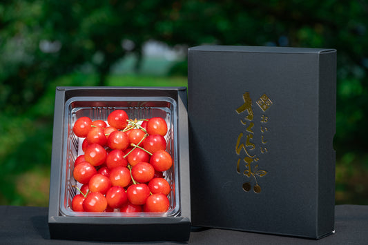 さくらんぼ 佐藤錦 秀品 Lサイズ以上 300g S-04【全国送料無料】