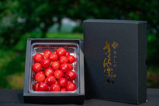 山形セレクション認定品 さくらんぼ 佐藤錦 特秀品 2Lサイズ以上 300g S-07【全国送料無料】