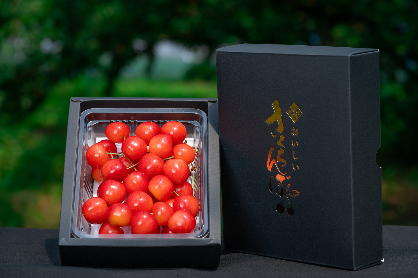 さくらんぼ 佐藤錦 秀品 2Lサイズ以上 300g S-08【全国送料無料】