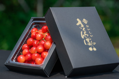 さくらんぼ 佐藤錦 秀品 2Lサイズ以上 300g S-08【全国送料無料】