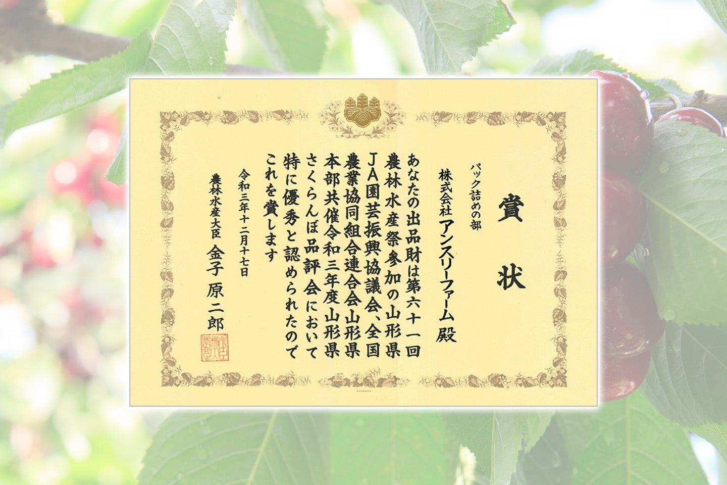さくらんぼ 佐藤錦 秀品 2Lサイズ以上 300g S-08【全国送料無料】