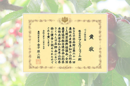 さくらんぼ 佐藤錦 秀品 2Lサイズ以上 300g S-08【全国送料無料】