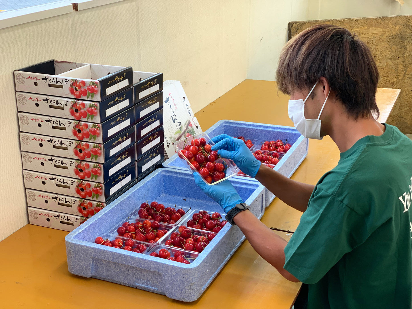 代表取締役 安達史倫が収穫から箱詰まで行う品評会級プレミアムさくらんぼ 3箱限定企画 佐藤錦 超特秀品 バラ詰 2Lサイズ 600g A-1