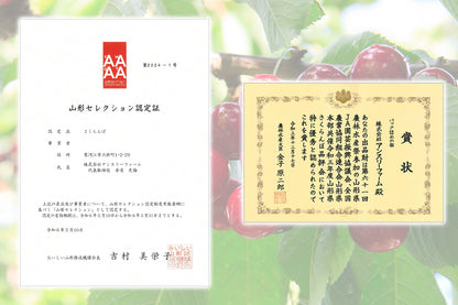 山形セレクション認定品 さくらんぼ 佐藤錦 特秀品 2Lサイズ 15粒入 S-10【全国送料無料】